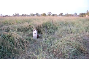 North view after 24 hours