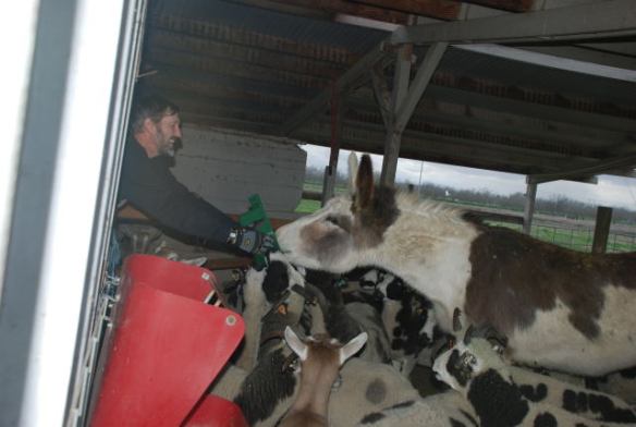 2009-02-008-02 That's close enough.