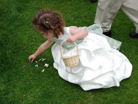 wedding-worm wedding-worm