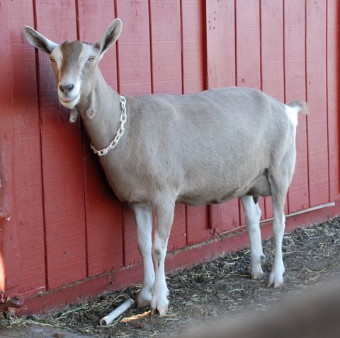 DSC_0442-1-w DSC_0442-1-w