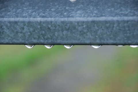 DSC_3603-drops-w