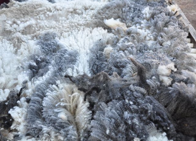 fleece