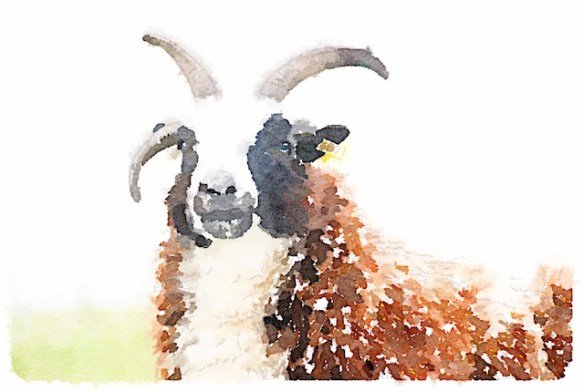 Painted in Waterlogue