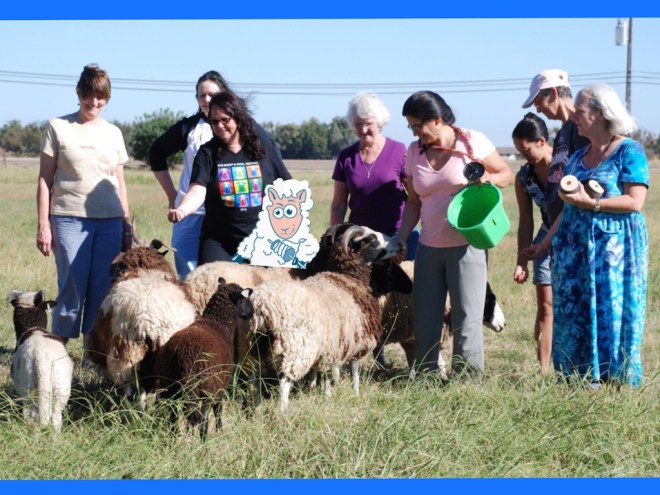 Processed with Moldiv