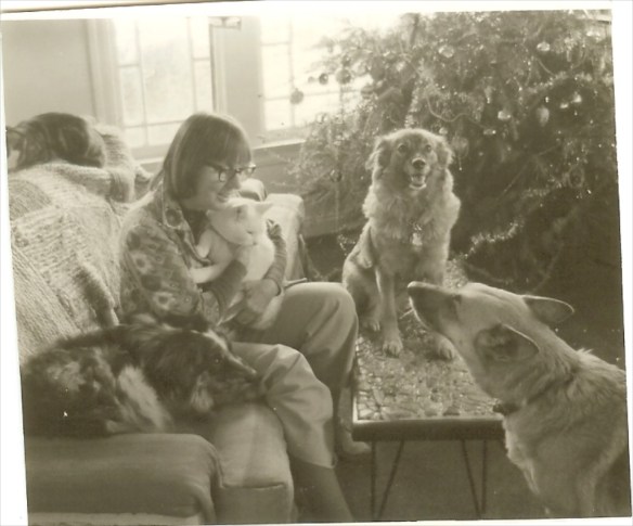 1970s dogs