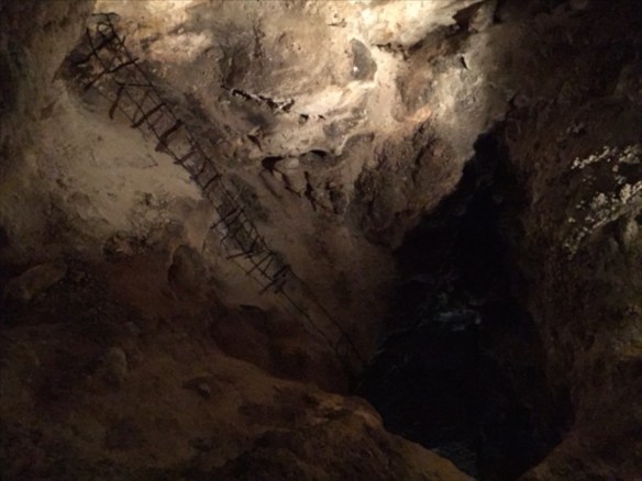 Carlsbad caverns NP (2)