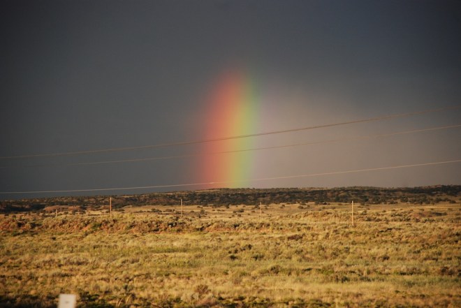 DSC_6961