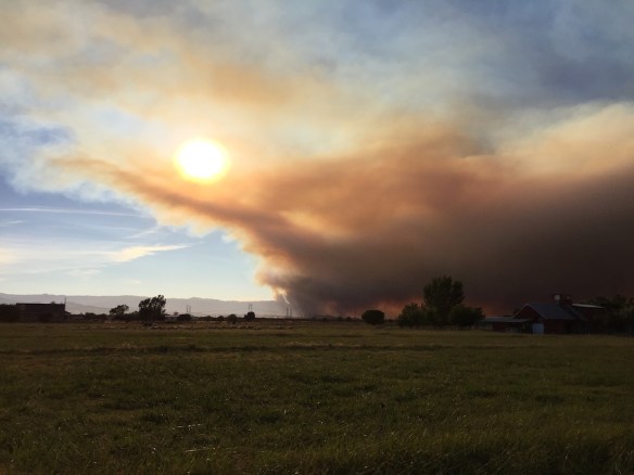 Fire 6-53 from pasture