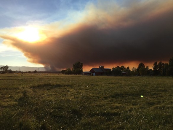 Fire 7-10 from pasture