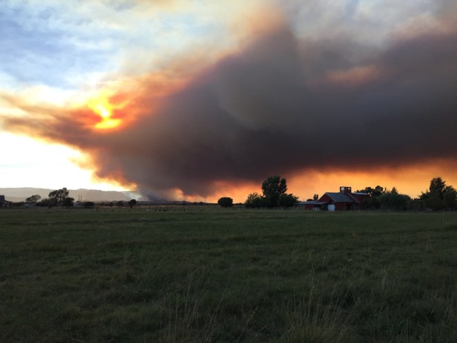 Fire 7-12 from pasture