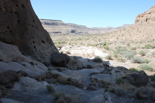Mohave National Preserve (1)