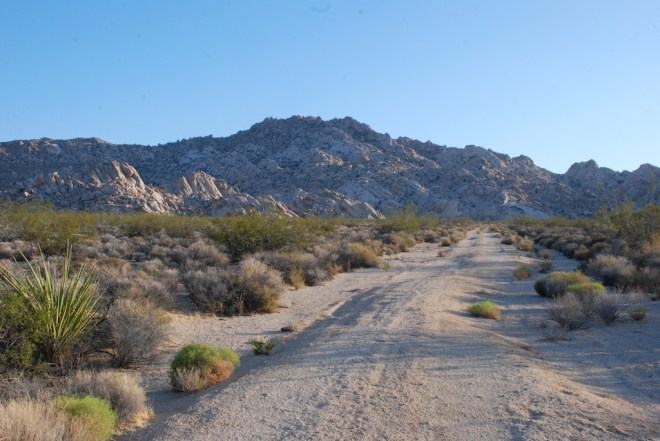 Mohave National Preserve