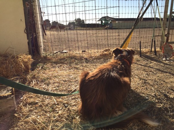 Ginny before 2nd lesson