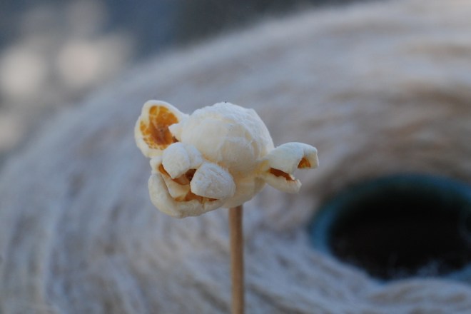 popcorn sheep