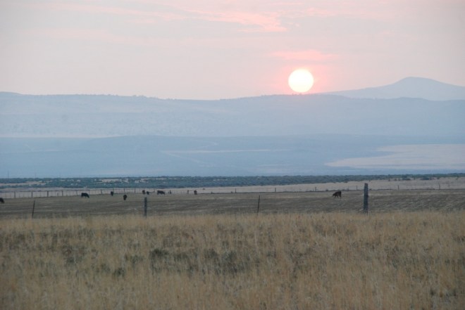 Surprise Valley, Hays Mountains (1)