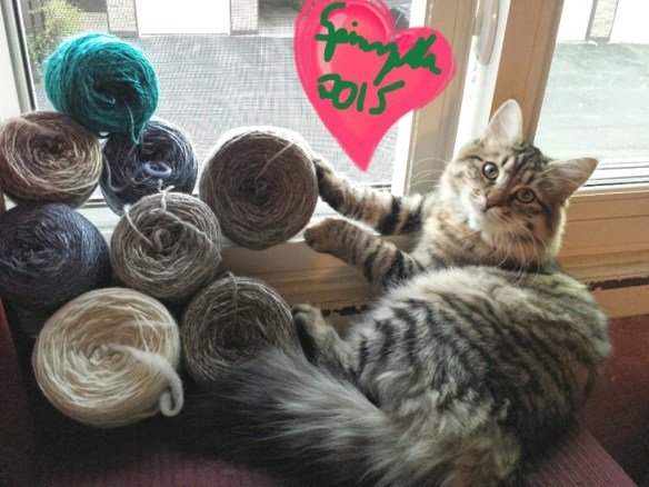 Paula's yarn
