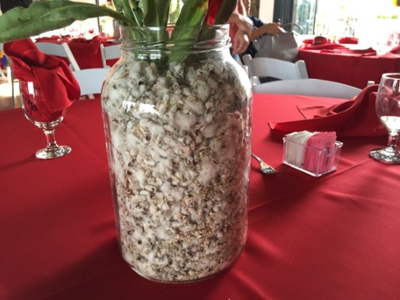 cotton seed decoration