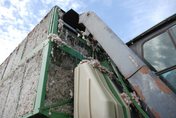 DSC_1928 cotton harvester