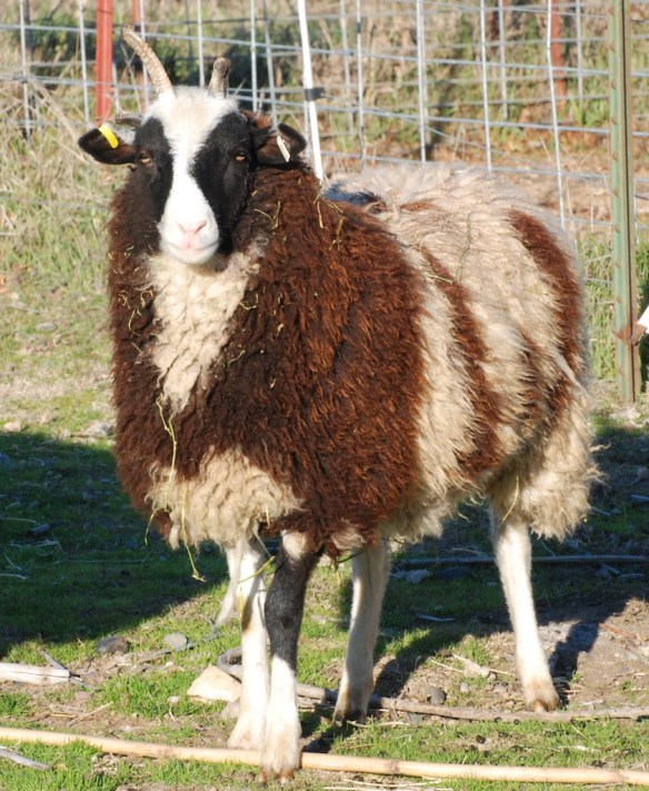 15013 front left - Version 2