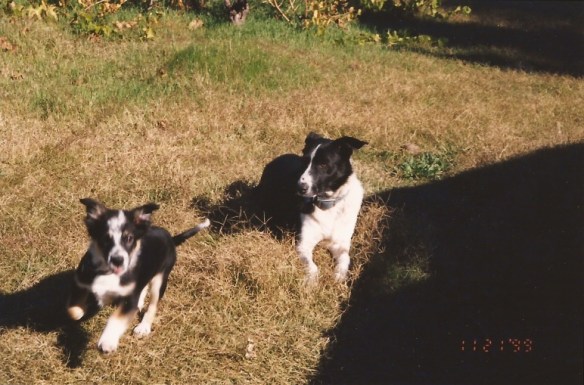 Benny and Flash-1999-300