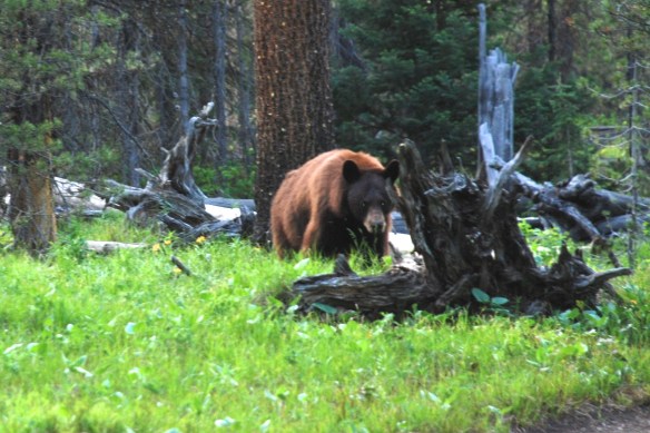 DSC_4346 - Version 2