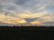 img_5217