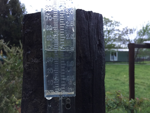 Rain gauge