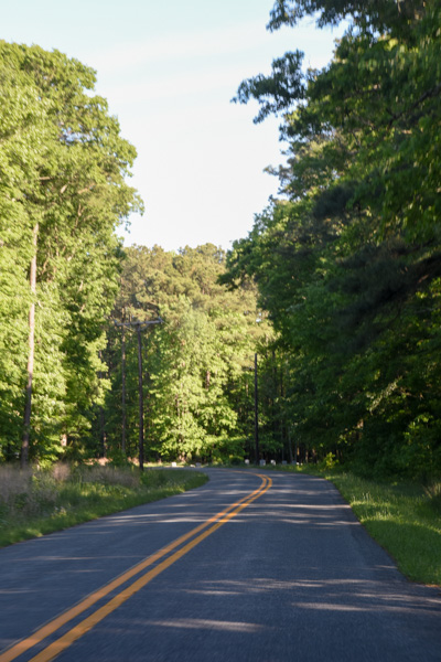 Marsh-Dorchester Cty