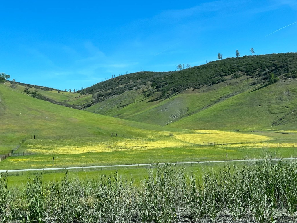 Green hills with yellow flowers at base.
