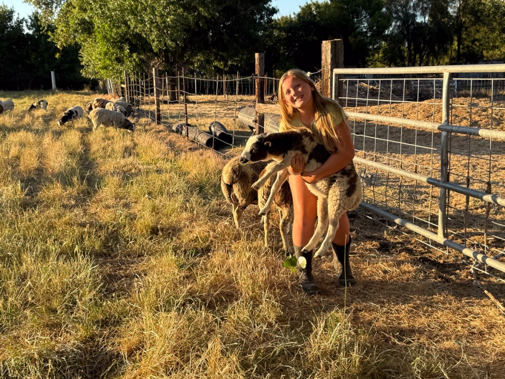 Kirby holding lamb in pasture.