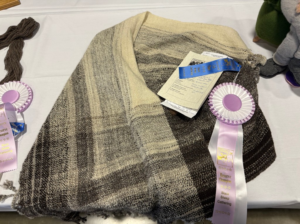 Handwoven Jacob shawl in natural gray, black, and white with reserve champion ribbon.