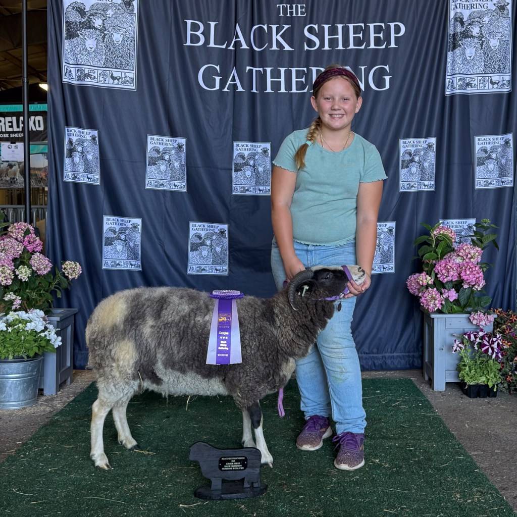 Kirby in front of Black Sheep Gathering sign with her champion ewe and the ribbon.