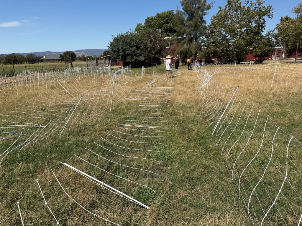 Strips of white net fencing spread out over a green field so they can be measured.