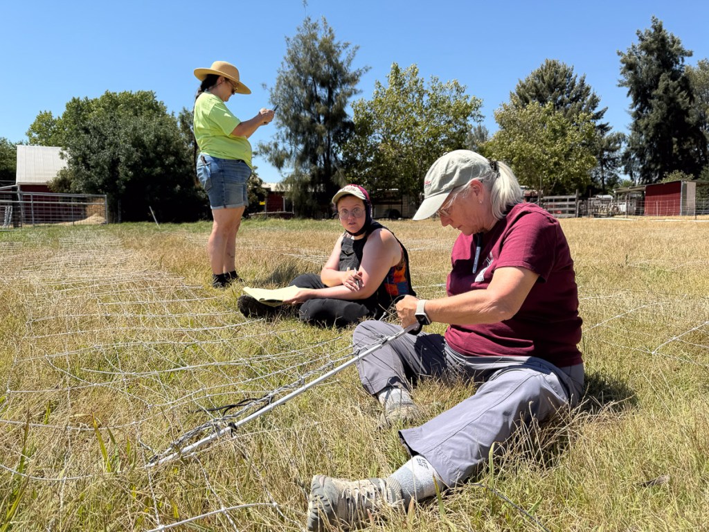 Three women working on a white net fence. Two are sitting in the grass.