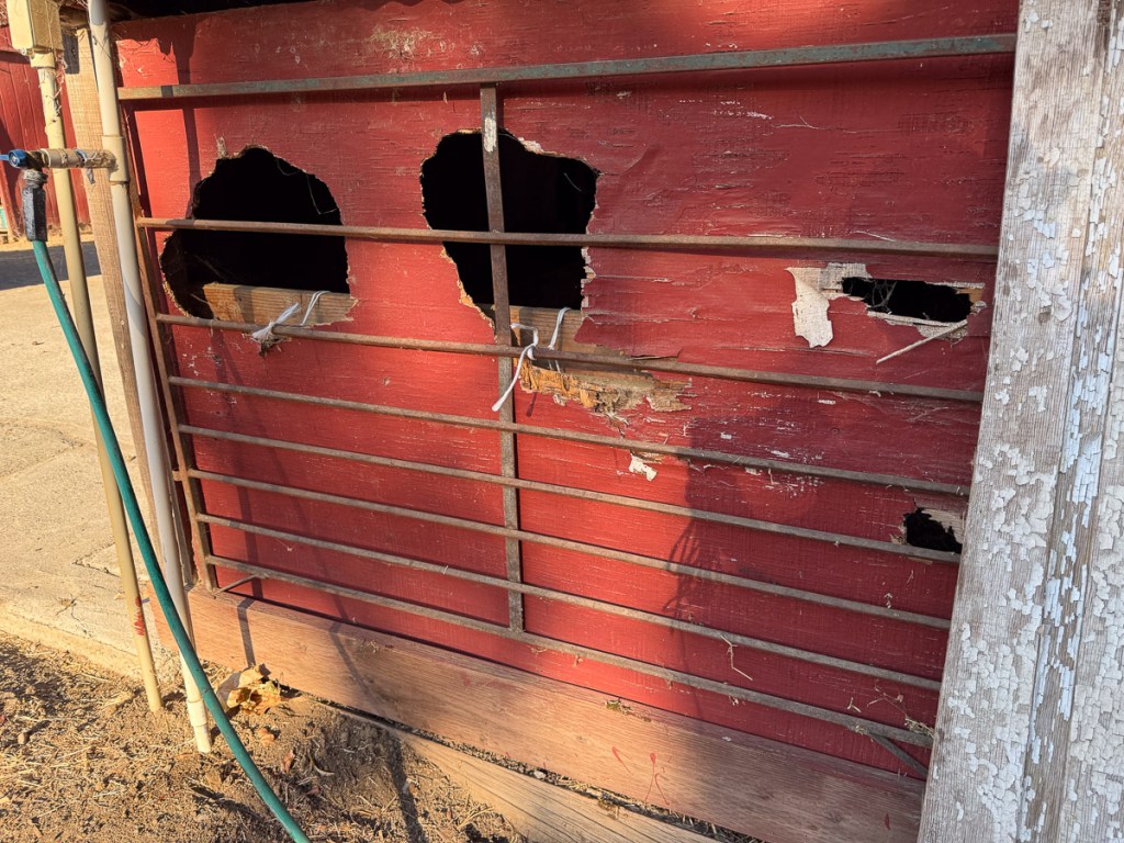 Metal panel secured to red shed wall to cover big holes.