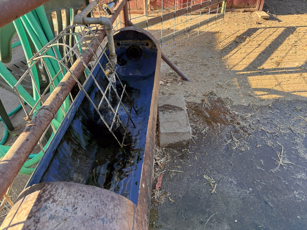 Metal water trough that has been drained for cleaning.
