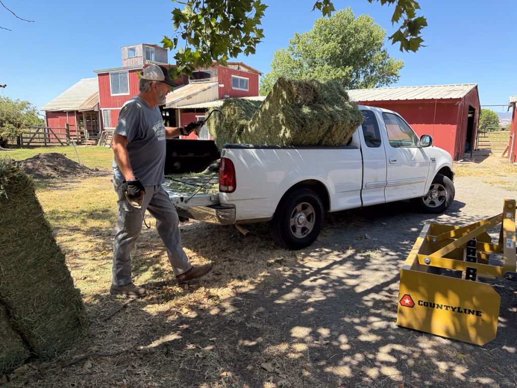 White pick up truck with alfalfa in the bed and Dan unloading it.