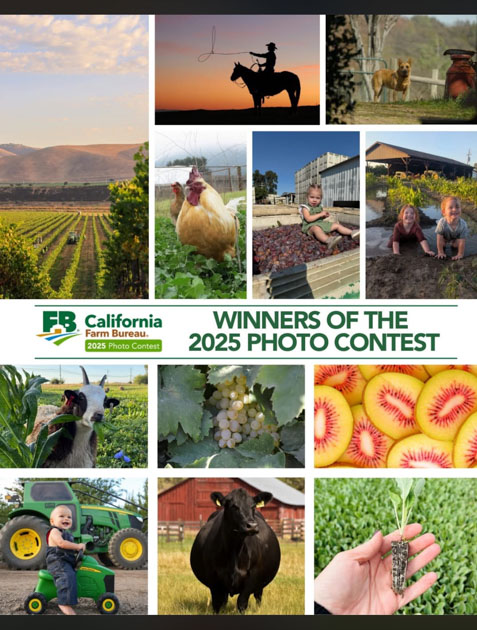 Twelve farm photos on one page with the title "winners of the 2025 photo contest" by California Farm Bureau.