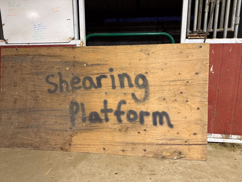 Plywood with Shearing Platform in spray paint.