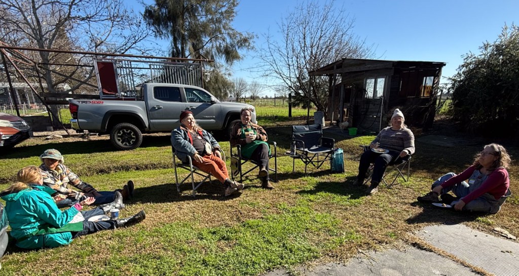 Seven people sitting on the grass in chairs in the sun .