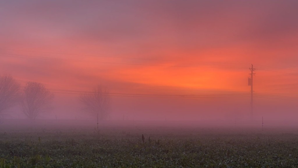 Orange sunrise behind fog.