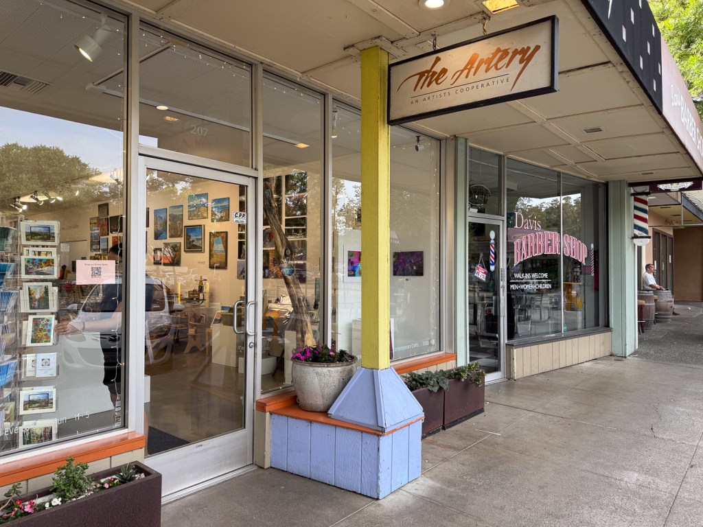 Street view of The Artery, an artists' cooperative in Davis, CA.