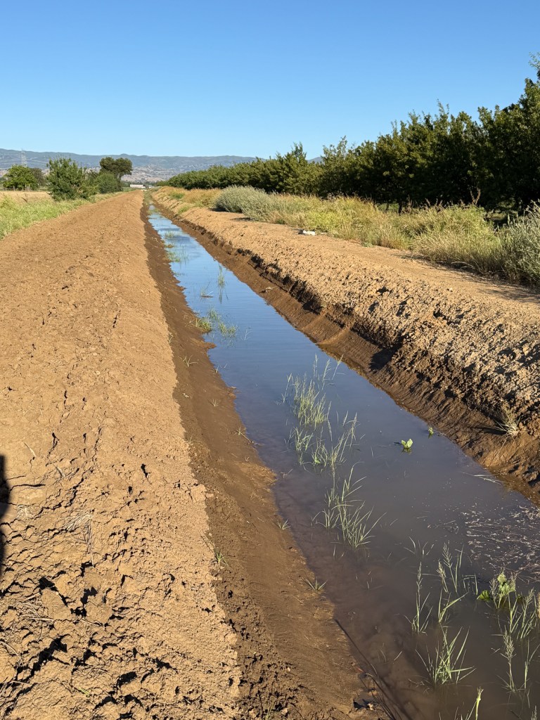 Irrigation ditch with trees on the right and dirt on the left.