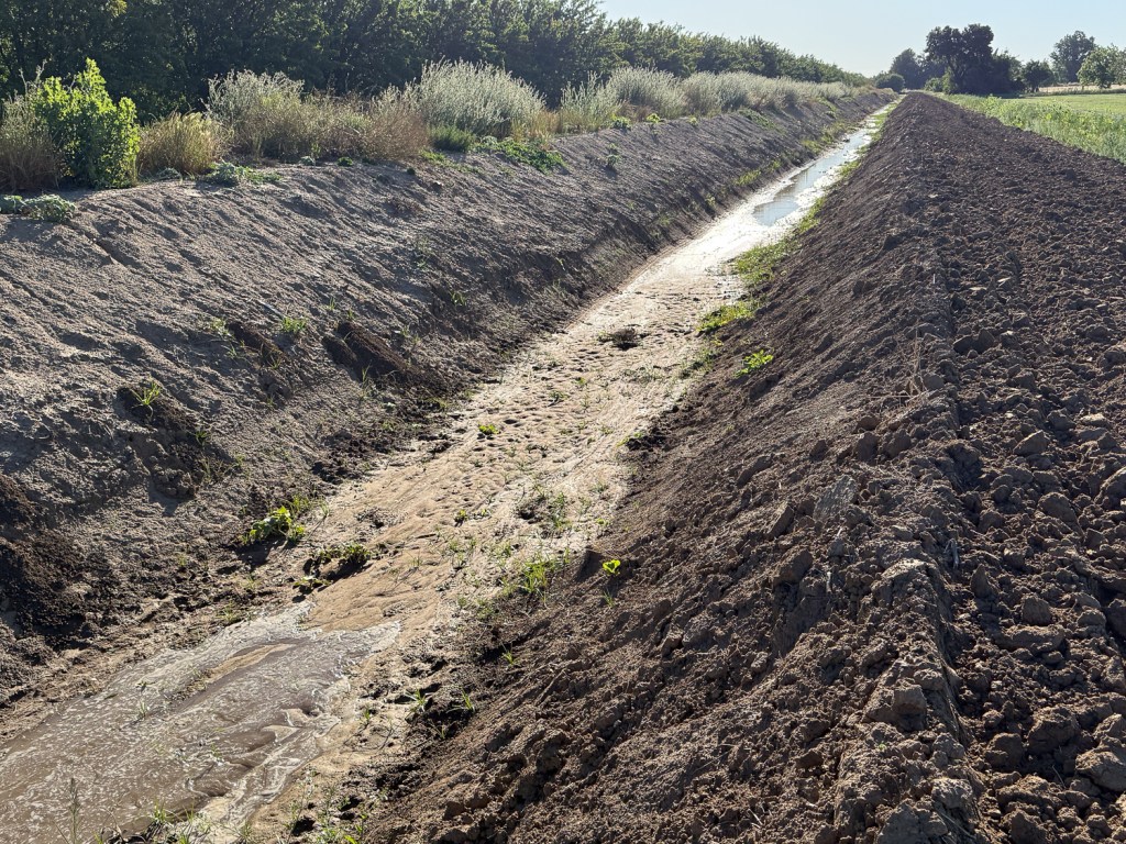Dirt irrigation ditch with water beginning to flow.