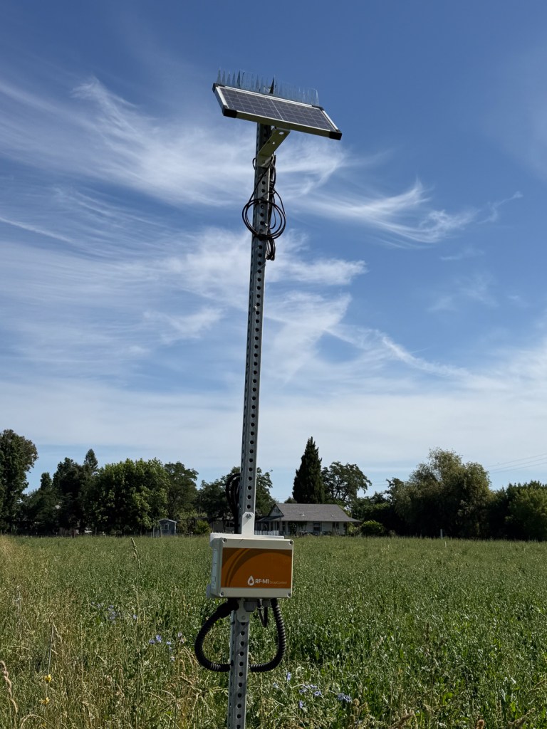Soil moisture monitor in the pasture.