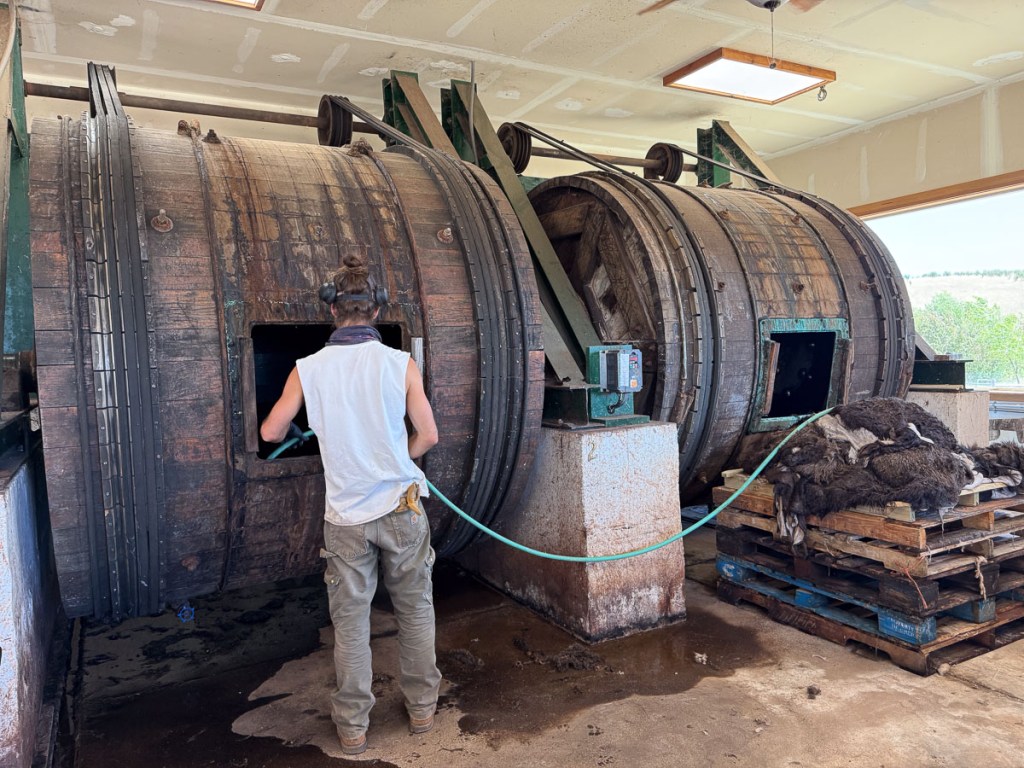Two large barrels on their sides for soaking sheepskins.
