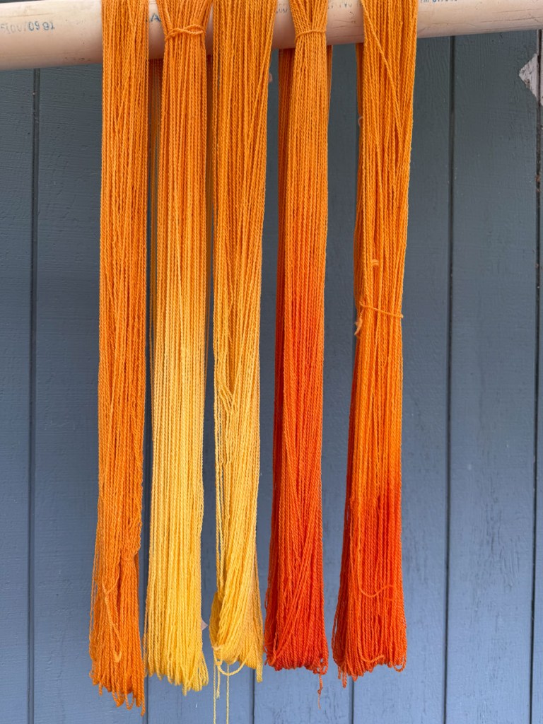 Naturally dyed yarn in orange, yellow and red. 