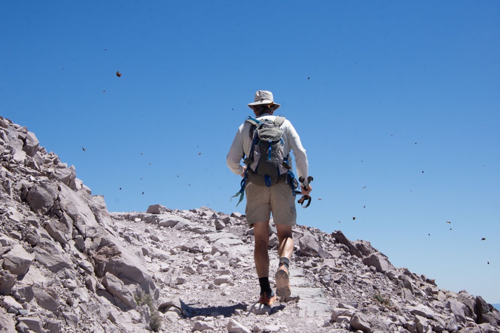 Dan hiking up a rocky trail with butterflies flitting around .
