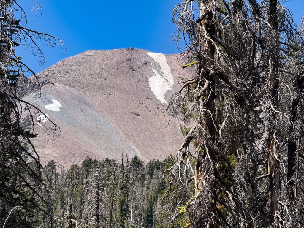 Mt. Lassen with trees in the foreground.