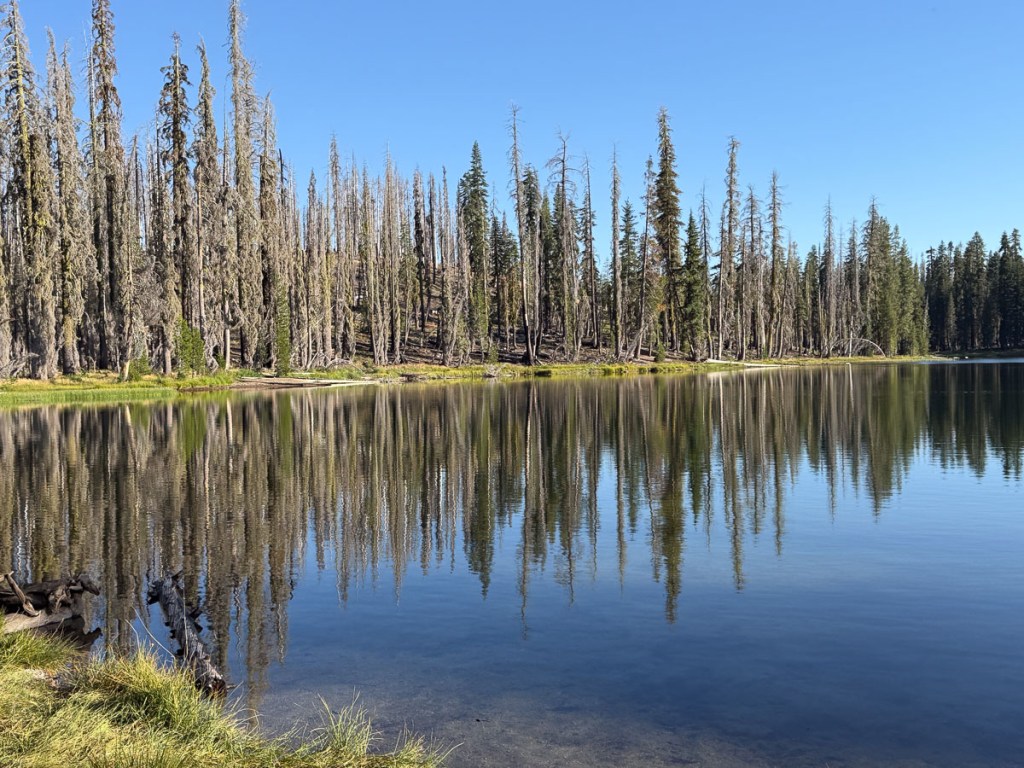 Lake rimmed with trees where reflection is obvious.